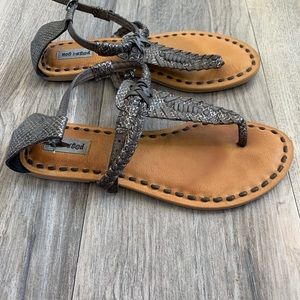 Not Rated snakeskin sandals